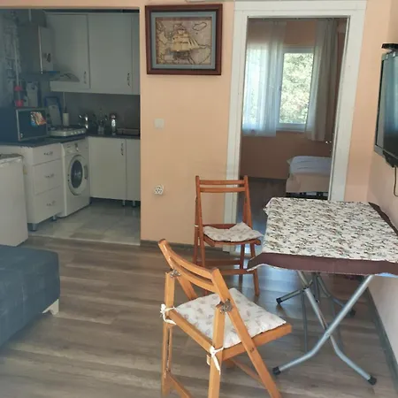 Mavi Ev Apartment *
